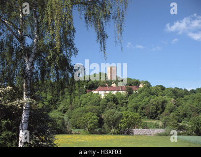 Allemagne, Bade-Wurtemberg, hill, castle accueil Heins, Europe, paysage, paysage de la colline du château, bâtiment, structure, hôtel d'affaires, l'hôtel de château, montagne d'honneur, Tour, tour du château, le lieu d'intérêts, l'été Banque D'Images