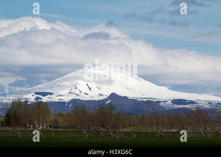 Les champs de vent dans les arbres sous la neige couverts hekla Islande stratavolcano Banque D'Images