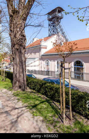 - Pologne - avril 23. Musée de la mine de sel souterraine à Wieliczka. Regis l'arbre. L'un des deux principaux axes des Sal Wieliczka Banque D'Images