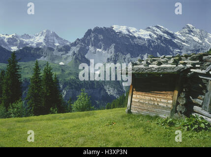 La Suisse, l'Oberland bernois, à proximité Schilthorn Mürren, Stadl, Europe, Alpes, paysage de montagnes, Montagnes, prairies alpines, Heustadl, sommet, la neige, l'été, Banque D'Images