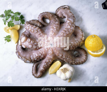 Plat de poisson, la seiche, les citrons, l'ail, plat, de l'alimentation, les repas, le poulpe, Oktopus, animaux de la mer, la mer, les matières animales, pieuvre, Kopffüßer, tentacules, sucettes, nourriture, manger, à haute valeur protéique, Oroteine, les ingrédients, la préparation, la nature morte, photographie de produits Banque D'Images