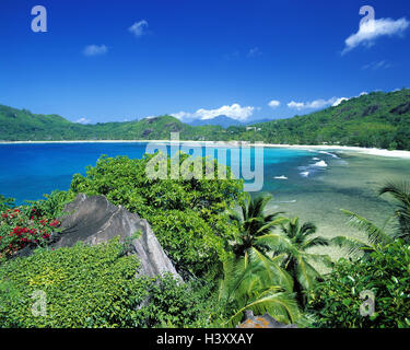 Les Seychelles, Mahe, Northwest, plage, baie Lazare, de l'océan Indien, la baie, la baie de bain, plage, paysage, nature, plantes Banque D'Images