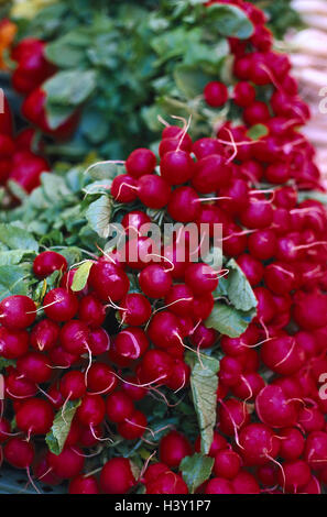 Les radis, still life, les légumes, les légumes racines, le radis, Raphanus sativus var. radicula, plante cultivée, navet, navet, emmitouflés, bundle, red, hot, nutrition, santé, vitamines, riches en vitamines Banque D'Images