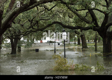 Point blanc jardins entourés par les eaux de crue dans le centre-ville historique d'après l'Ouragan Matthew passés par causant des inondations et des dommages à la région le 8 octobre 2016, à Charleston, Caroline du Sud. L'ouragan a touché terre près de Charleston comme une tempête de catégorie 2 mais rapide diminution de la qu'il a pris la route du nord. Banque D'Images