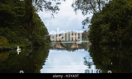 Clumber Park bridge Banque D'Images