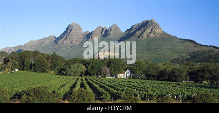 Au sud, l'Afrique, la Province du Cap, Stellenbosch, vignoble, 'Aventur', vignoble, Helderberg, Afrique, la Province du Cap, Cape province, région viticole, viticulture, région viticole, bonne maison, architecture, Cape-Dutch, vallée Jonkershoek, montagnes, Somerset Banque D'Images