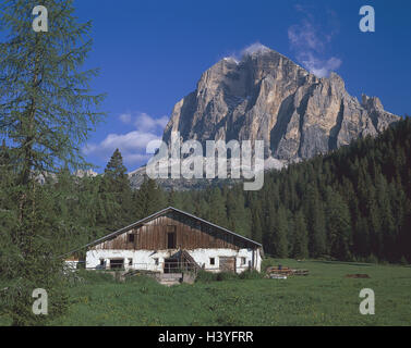 L'Italie, région, province, les Dolomites de Belluno, Tofana Tu Rozes, ancienne ferme de montagne, Vénétie, province de Belluno Dolomiti, Tu, lime, Alpes, Tofanen groupe Tofana, montagnes, montagnes, massif de montagne, ferme, ALP, chalet de montagne, bois Banque D'Images