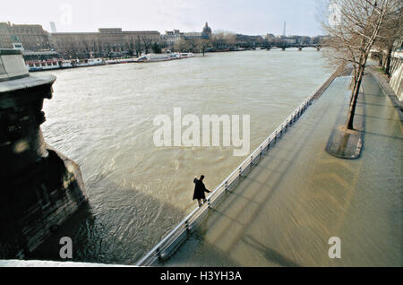 France, Paris, son pont, l'eau, haut, garde-fous, l'homme, l'équilibre, vue de dos, l'Europe, la ville, capitale, rivière, Seineufer, inondation, Alexander's Bridge, détail, promenade, main courante, risque, risquély, du risque, de l'équilibre, l'équilibre, dangereusement, à l'extérieur Banque D'Images