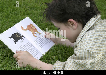 Pré, garçon, livre, lire, attentivement, détail, enfant, 7 ans, des écoliers, des loisirs, des vacances, de l'activité, activité de loisirs, l'intérêt, l'attention, la concentration, considérer, regarder, livre, livre pour enfants, des histoires d'animaux, de Storybook, apprendre, la formation continue, Banque D'Images