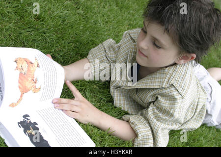 Pré, garçon, livre, lisez attentivement, enfant, 7 ans, des écoliers, des loisirs, des vacances, de l'activité, activité de loisirs, l'intérêt, l'attention, la concentration, examiner, étudier, étudier, regarder, livre, livre pour enfants, des histoires d'animaux, de Storybook, apprendre, continuant educ Banque D'Images