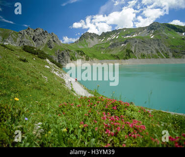 Autriche, Vorarlberg, Brandnertal, Lüner lac, rive, roses alpines, l'Europe, de la vallée de Brandner, paysage de montagnes, montagnes, Montagnes, Lac, réservoir, lac de montagne, lac, plantes, fleurs, rhododendron, fleurs alpines, stone roses, Alp'ivrognerie, al Banque D'Images