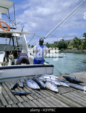 L'Ile Maurice, Côte nord, jetée, pêcheur de haute mer, les prises, l'heure actuelle, de l'océan Indien, Maskarenen, île de l'état, port, port de pêche, la jetée en bois, pont, bateau de pêche, pêche en mer, les pêcheurs, les hommes, les sections locales, pêche, poisson, aménager, projet, econo Banque D'Images