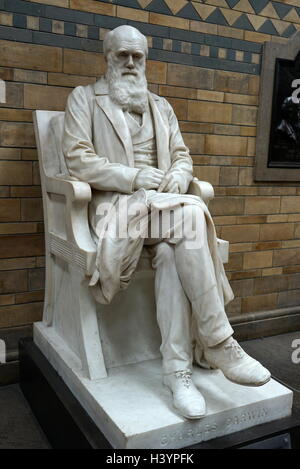 Statue de Charles Darwin (1809-1882) naturaliste et géologue anglais. En date du 21e siècle Banque D'Images