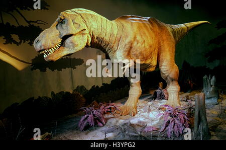 Dinosaures animatroniques (T-Rex). Animatroniques se réfère à l'utilisation de dispositifs robotisés pour émuler les caractéristiques naturelles d'un objet inanimé. En date du 21e siècle Banque D'Images