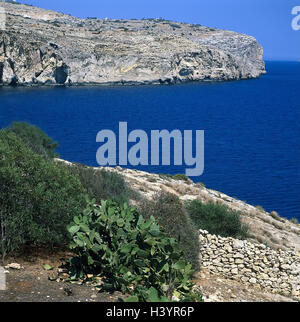 Malte, côte sud, la Grotte Bleue, île de l'état, l'île, la mer Méditerranée, mer, île de la Méditerranée, la baie, côte, côte escarpée, la bile, les falaises de la côte, la nature, la végétation, la nature paysages, désert, Grotte Bleue Banque D'Images