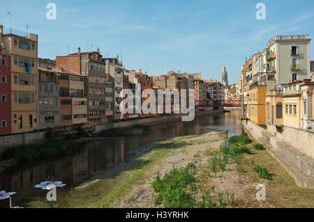 La rivière Onyar, à Gérone, Catalogne, Espagne, au cours de Temps de Flors - Fête des Fleurs de Gérone Banque D'Images