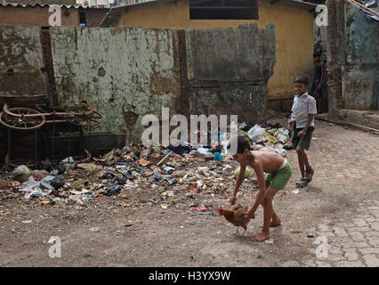 Les enfants de la rue jouer avec la volaille et les poulets à Dharavi slum. Des scènes de rue Mumbai, Inde Banque D'Images