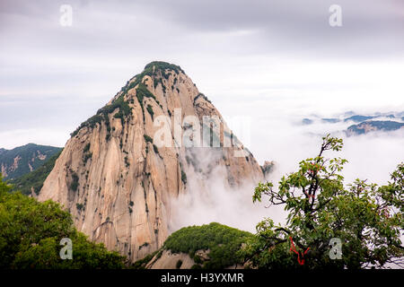 Le Mont Hua, Shaanxi, Chine Banque D'Images