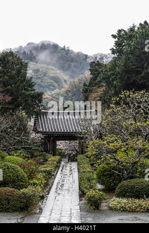 Vue du cheminement menant à un belvédère au milieu des arbres à Meigetsu-in, Kamakura, Kanagawa, Japon Banque D'Images