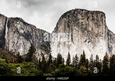 Vue panoramique sur les arbres croissant à l'égard des montagnes rocheuses, Yosemite National Park, California, USA Banque D'Images