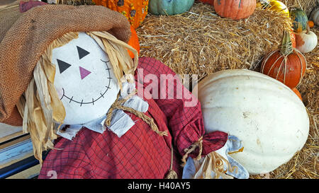 L'épouvantail d'automne souriant avec le blanc et l'orange des citrouilles sur hay bale Banque D'Images