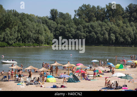 Les hongrois appréciant les températures d'été à Koros Torok plage de sable le long de la rivière Tisza, Csongrád, Hongrie Banque D'Images