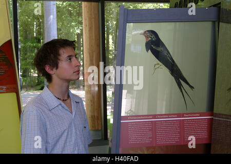 Allemagne, Sarre, Orscholz, pièce 'Large' pays d'origine, garçon, Showcase, regardez, au portrait, l'Europe, la santé resort, Cloef atrium, exposition permanente, l'enfant, intérêt, d'information, l'animal, l'oiseau, à l'échelle nationale, l'aspect, l'endroit d'intérêt Banque D'Images