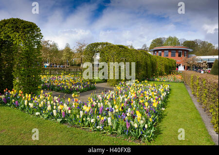 Jardin de Keukenhof à Lisse, Hollande, Pays-Bas. Banque D'Images