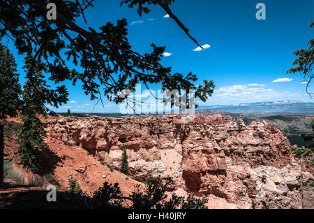 Bouleau noir Canyon à Bryce Canyon National Park, Utah Banque D'Images