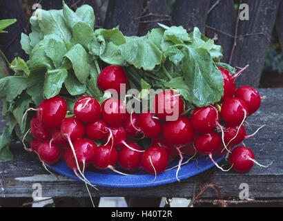 Jardin, plaque, radis, humide, à la récolte, les légumes frais, légumes racines, le radis, Raphanus sativus var. radicula, harvest, récoltés, plante cultivée, navet, navet, red, hot, des feuilles, de l'alimentation, de manger, de nature morte, photographie de produits Banque D'Images