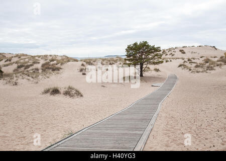 Chemin de bois et de dunes de sable de l'Yyteri Beach près de Pori, Finlande Banque D'Images