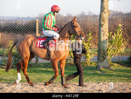 Au cours des courses de chevaux de Wincanton,Somerset, Angleterre, Royaume-Uni, Europe. Banque D'Images