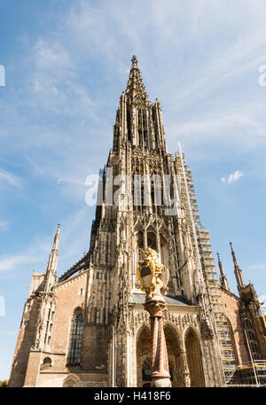 La Cathédrale d'Ulm (Allemagne) Banque D'Images