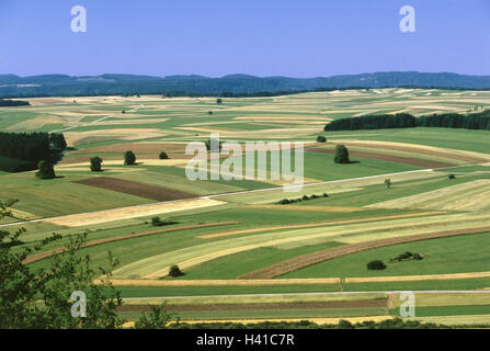 Allemagne, Bade-Wurtemberg, à la montagne, les choses du saumon, Kornbühl champ voir paysages, Europe, cauchemar, Zollernalbkreis Souabe, de l'agriculture, réserve naturelle, réserve naturelle, mountain 886 cône m, vue, paysage, champ hall, array, les champs, les parties sur le terrain, blo Banque D'Images