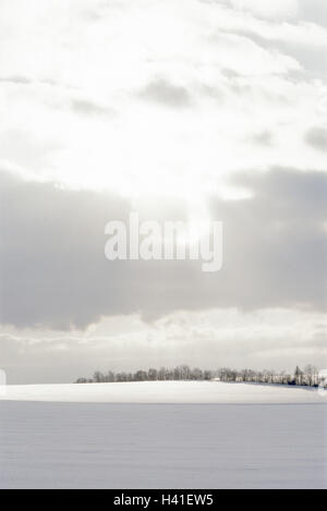 Allemagne, Bade-Wurtemberg, Münsingen, district accueil Magols, paysage d'hiver, contrejour, Europe, cauchemar de la Souabe, champ paysages, Paysage, Neige, neige, neige, hiver, arbre, série, Einsamkeeit, silence, de largeur, de distance, ciel nuageux, l'hiver Banque D'Images