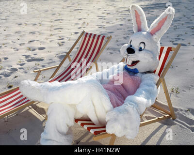 Plage de sable fin, transats, lapin de Pâques, reste doublure, panneaux, costume, costume de lapin de Pâques, le lièvre, le lièvre, le costume de Pâques, fête de Pâques, foi de l'enfant, l'humour, fun, drôlement, amical, heureux, location, vacances, vacances de Pâques, le soleil des bancs, les loisirs, le calme Banque D'Images