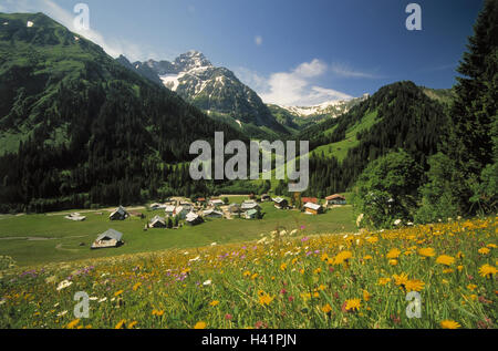 L'Autriche, petite Walsertal, Baad, 1244 m, local sommaire, Europe, Italie, Toscane, la paroisse du district de Mittelberg, village, place, maisons, maisons, paysages de montagne, montagnes, Bélier's Stone, 2533 m, Summers Banque D'Images