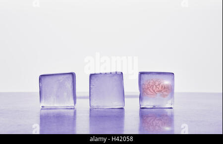 Cerveau congelé dans ice cube Banque D'Images