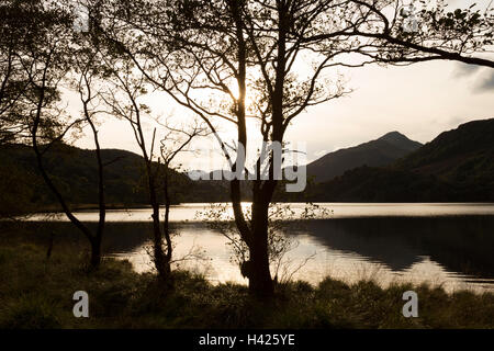 Coucher de soleil sur le lac Llyn Gwynant dans Nantgwynant Valley et Moel Hebog mountain, Parc National de Snowdonia, le Nord du Pays de Galles, Royaume-Uni Banque D'Images