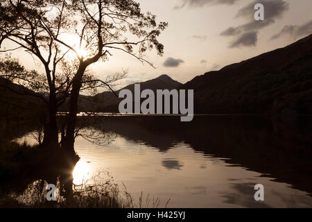 Coucher de soleil sur le lac Llyn Gwynant dans Nantgwynant Valley et Moel Hebog mountain, Parc National de Snowdonia, le Nord du Pays de Galles, Royaume-Uni Banque D'Images