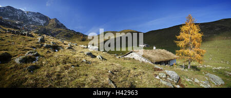 Alp paysage, Kitzbühel, Tyrol, Autriche, Banque D'Images