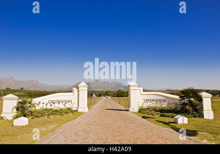 L'Afrique du Sud, l'ouest, cap, Stellenbosch, vignoble accueil Vreden, objectif, route d'accès, économie, agriculture, biens, Winzerei, producteur de vin, de vignobles, de la superficie viticole, la viticulture, la culture, le vin, l'allée, la largeur, la distance, en milieu rural, paysage, montagne, montagnes, montagnes, oenotourisme, tourisme, personne, à l'extérieur, l'espace de copie, d'Afrique, Banque D'Images