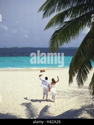 Jeune couple, vague, mer, prêt, retour, plage, fort, modèle sorti, gens, homme, femme, vacances, été, mode de vie, tombe dans l'amour, blanc, loisirs, aux cheveux bruns, pieds nus, plage de sable, l'océan, vacances de rêve, ensemble, les uns avec les autres, de façon positive, à l'extérieur, palm, Boîte à trésor, trésor, trésor viseur, trésor, exécuter, Banque D'Images