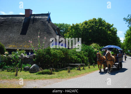 L'Allemagne, 1, l'île de Hiddensee, Vitte, 'grange', transport, Banque D'Images