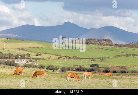 Cader Idris Cadair Idris '" de montagne comme vu de la Baie de Cardigan près de Tywyn, au nord du Pays de Galles, Royaume-Uni Banque D'Images