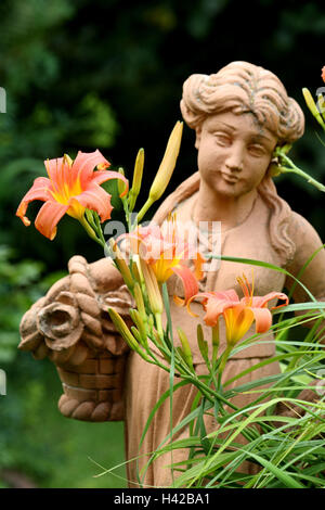 Fire lily, figure le jardin, Banque D'Images