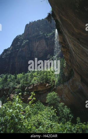 Les USA, Utah, Zion parc national, abaisser, Piscine d'Emeraude, en Amérique du Nord, la destination, le lieu d'intérêts, paysage, nature, parc national, réserve naturelle, le bois, la végétation, la roche, falaise, cascade, Banque D'Images