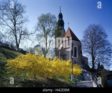 L'Autriche, l'Salzburg-Stadt Müllner, église paroissiale à notre chère madame Maria Himmelfahrt, escaliers en hausse, Europe, Salzbourg, ville, d'Augustin's lane, église, église paroissiale de la ville, structure, tour, clocher, gothique, de la culture, de l'endroit d'intérêt, parc, forsythia, golden lilac, arbustes Banque D'Images