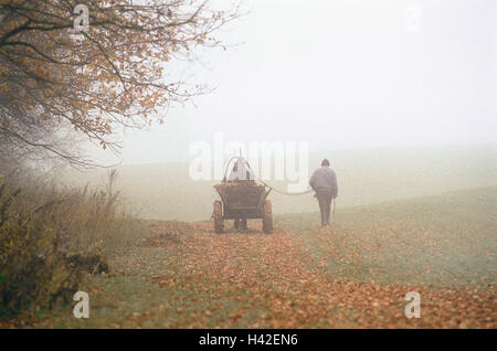 La Russie, de la région de Vladimir, paysage, chemin, cheval et panier, l'homme, rendez-vous, vue de dos, le brouillard d'automne, paysage, champ de la forêt, pion, agriculteur, panier, cheval, transport, promotion, de solitude, de repos, de silence, de désolation, autumnally, brumeuse, brumeuse, saison Banque D'Images