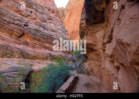 Hidden Canyon, Zion National Park, situé dans le sud-ouest des États-Unis, près de Springdale, en Utah. Banque D'Images